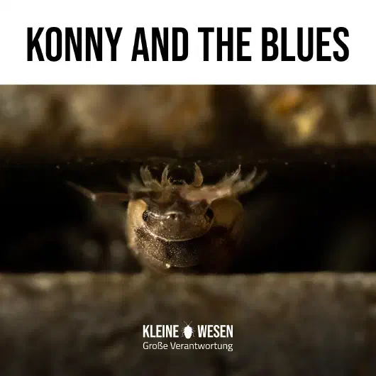 E13: Konny and the blues