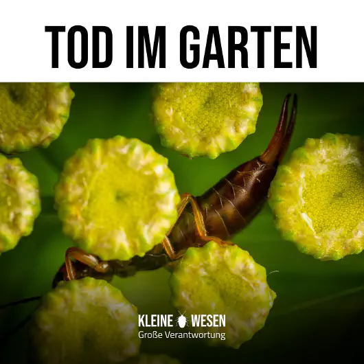 E5: Tod im Garten