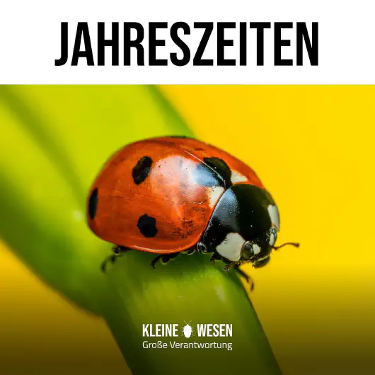 E12: Jahreszeiten