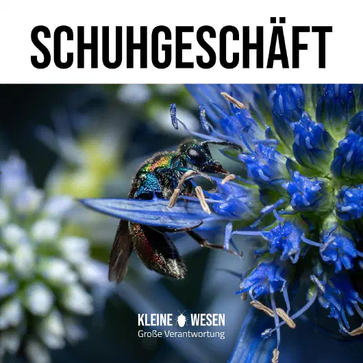 E3: Schuhgeschäft