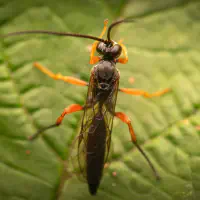 Den großen Ruhm knapp verpasst – aber ich freue mich trotzdem!