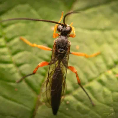 Den großen Ruhm knapp verpasst – aber ich freue mich trotzdem!